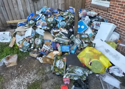 Professional junk removal company