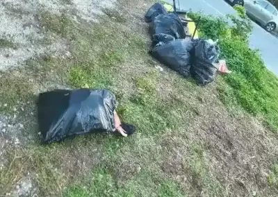 Professional yard waste removal