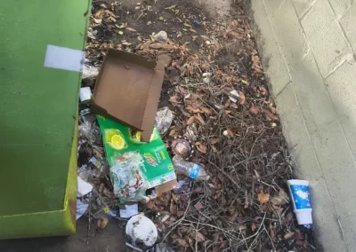 Top Local Junk Removal