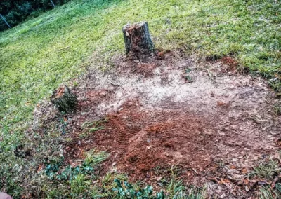 Trusted Junk Removal Service (2)