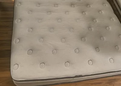 Trusted Yard Waste Removal (2)